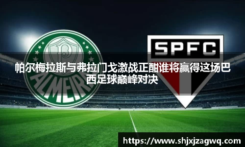 帕尔梅拉斯与弗拉门戈激战正酣谁将赢得这场巴西足球巅峰对决